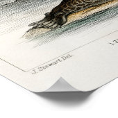 ヴィンテージシールイラストレーション ポスター (角)