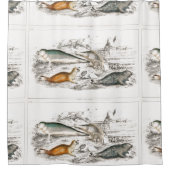 ヴィンテージシール海ビーチ シャワーカーテン (正面)