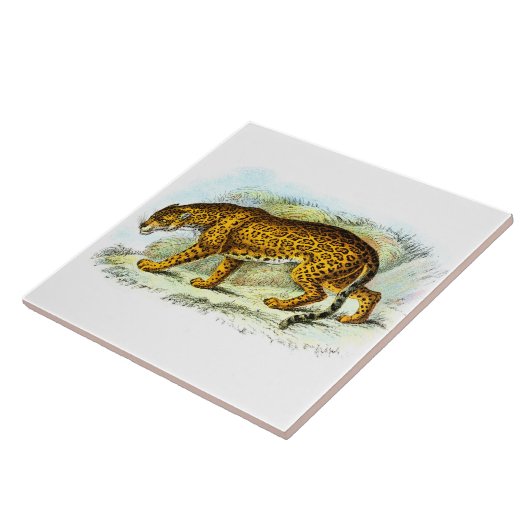 ヴィンテージジャガー動物イラストレーション タイル (側面)