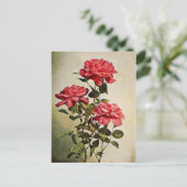 ヴィンテージジャケミノバラバイフレデリック・マーティン ポストカード (スタンド正面)