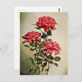 ヴィンテージジャケミノバラバイフレデリック・マーティン ポストカード (正面/裏面)