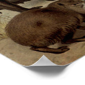 ヴィンテージジャングルのポスター ポスター (角)