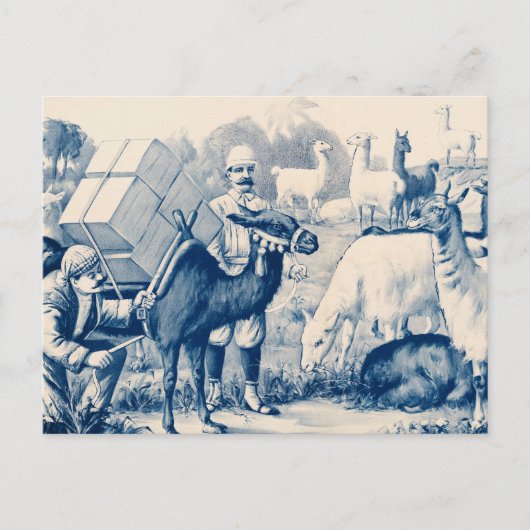 ヴィンテージジョン・ロビンソン・サーカスのポスター ポストカード (正面)