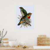 ヴィンテージジョンKeulemansレッドバンドFriteater ポスター (キッチン)