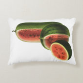 ヴィンテージスイカの背の高い丸いオーガニック食品フルーツ アクセントクッション (正面)