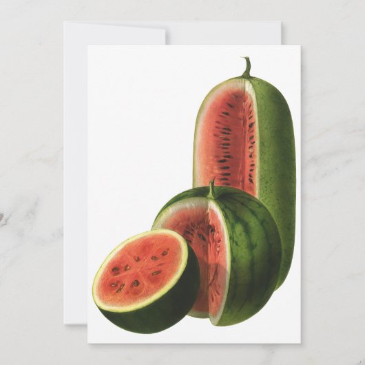 ヴィンテージスイカ背の高い丸いオーガニック食べ物の果物 (正面)