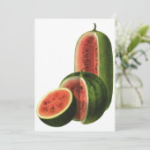 ヴィンテージスイカ背の高い丸いオーガニック食べ物の果物 (スタンド正面)