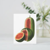 ヴィンテージスイカ背の高い丸いオーガニック食べ物の果物 ポストカード (スタンド正面)