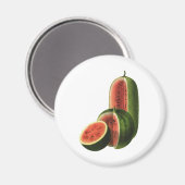 ヴィンテージスイカ背の高い丸いオーガニック食べ物の果物 マグネット (正面/裏面)