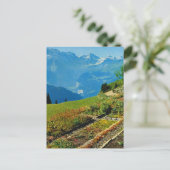 ヴィンテージスイス，シュニゲプラット， 1909 9 ポストカード (スタンド正面)