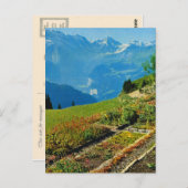 ヴィンテージスイス，シュニゲプラット， 1909 9 ポストカード (正面/裏面)