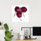 ヴィンテージスイートトリリウムブルーミングイラストレーション ポスター (ホームオフィス)