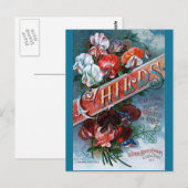 ヴィンテージスイートピアス ポストカード (正面/裏面)