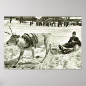 ヴィンテージスウェーデン、トナカイそり、フォーク博物館、 ポスター (正面)