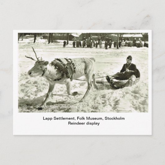 ヴィンテージスウェーデン、ラップ集落、フォーク博物館、 ポストカード (正面)