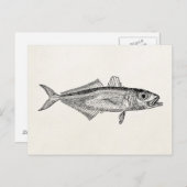 ヴィンテージスカッドフィッシュ水中競技フィッシュ空白のテンプレート ポストカード (正面/裏面)