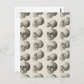 ヴィンテージスカルイラスト ポストカード (正面/裏面)