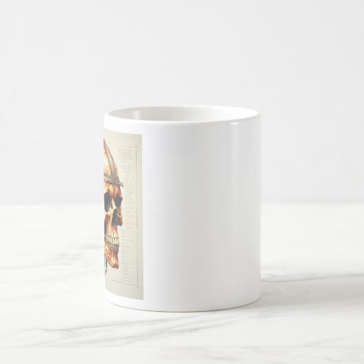 ヴィンテージスカルヒト解剖学マグ コーヒーマグカップ (中央)