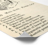 ヴィンテージスカルポスター ポスター (角)