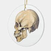 ヴィンテージスカル構造イラストレーション セラミックオーナメント