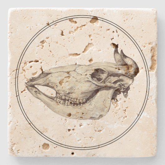 ヴィンテージスカル牛イラストレーション ストーンコースター (正面)