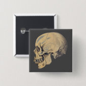 ヴィンテージスカル解剖イラストレーション 缶バッジ (正面&裏面)