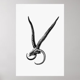 ヴィンテージスカル ポスター