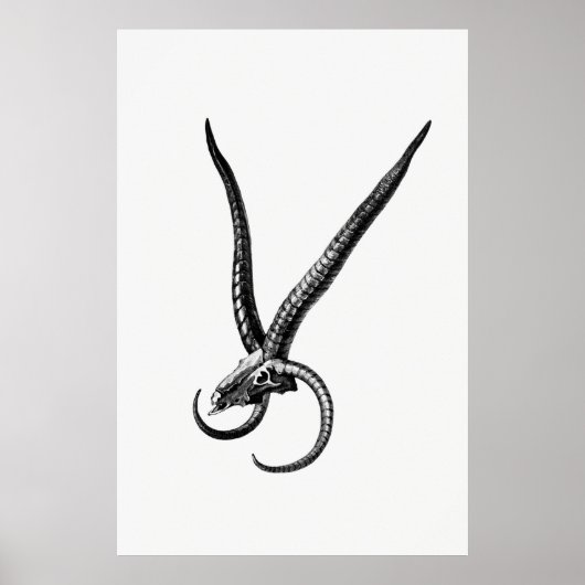 ヴィンテージスカル ポスター (正面)