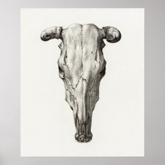 ヴィンテージスカル ポスター (正面)