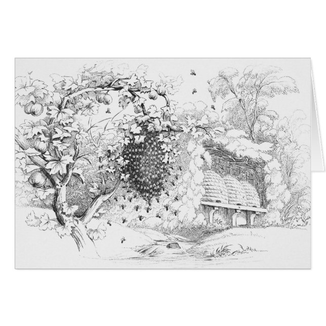 ヴィンテージスキップビーハイヴスケッチ (正面横)