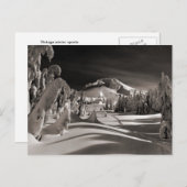 ヴィンテージスキーイメージ、木々を通るスキートレイル ポストカード (正面/裏面)