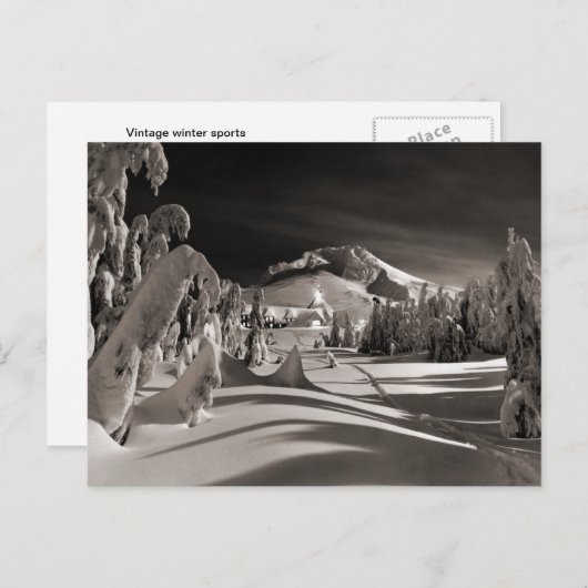 ヴィンテージスキーイメージ、木々を通るスキートレイル ポストカード (正面/裏面)