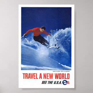 ヴィンテージスキー《植物》アスペンコロラドトラベルポスターアート ポスター