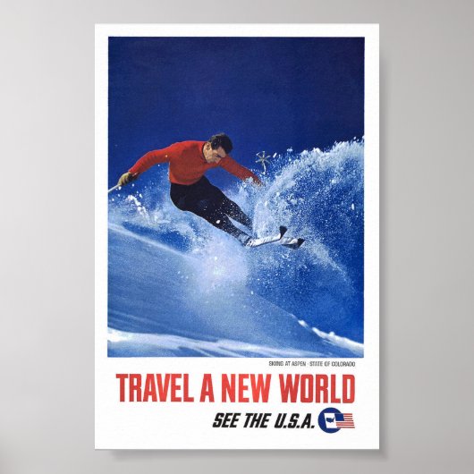 ヴィンテージスキー《植物》アスペンコロラドトラベルポスターアート ポスター (正面)