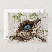 ヴィンテージスクリプトephemera鳥の巣フランスの植物 ポストカード (正面/裏面)