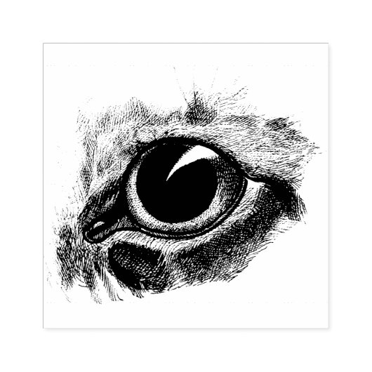 ヴィンテージスケッチキャッツアイアニマルアートイラストレーション ラバースタンプ (インプリント)