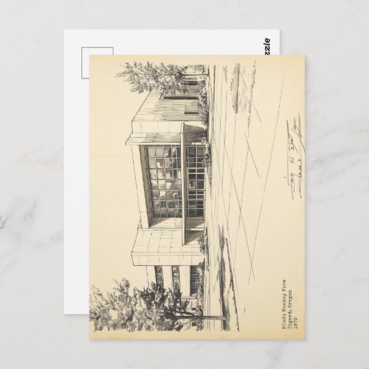 ヴィンテージスケッチヒンズー教サル農場 ポストカード (正面/裏面)