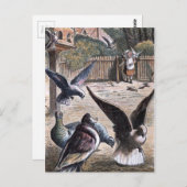 ヴィンテージスケッチ：キャリアピニオン ポストカード (正面/裏面)