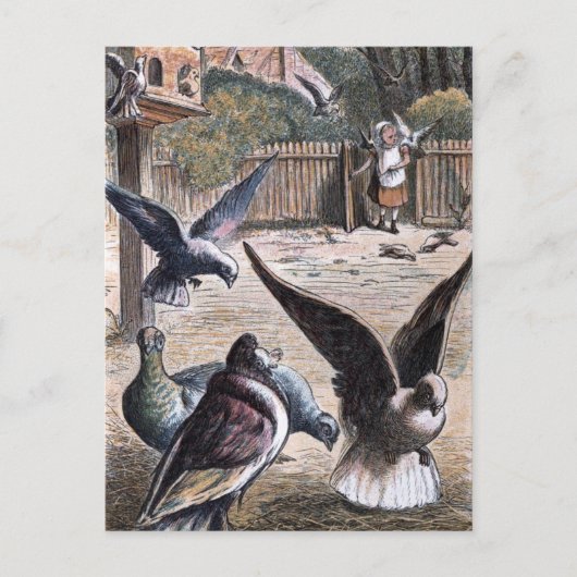 ヴィンテージスケッチ：キャリアピニオン ポストカード (正面)