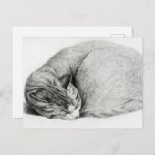 ヴィンテージスケッチ ポストカード (正面/裏面)