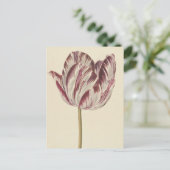 ヴィンテージスケッチ ポストカード (スタンド正面)