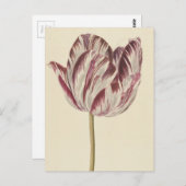 ヴィンテージスケッチ ポストカード (正面/裏面)