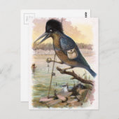 ヴィンテージスケッチ:魚釣りKingfisher ポストカード (正面/裏面)