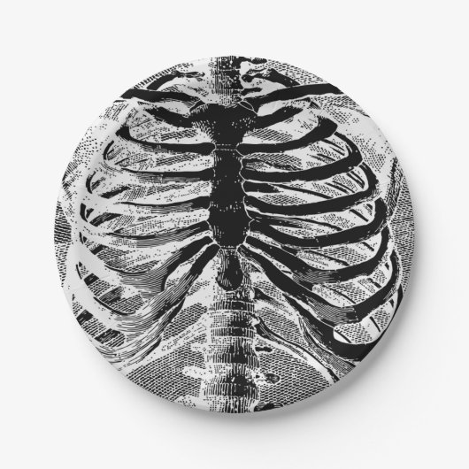 ヴィンテージスケルトンボーンズトルソ体ハロウィーン ペーパープレート (正面)