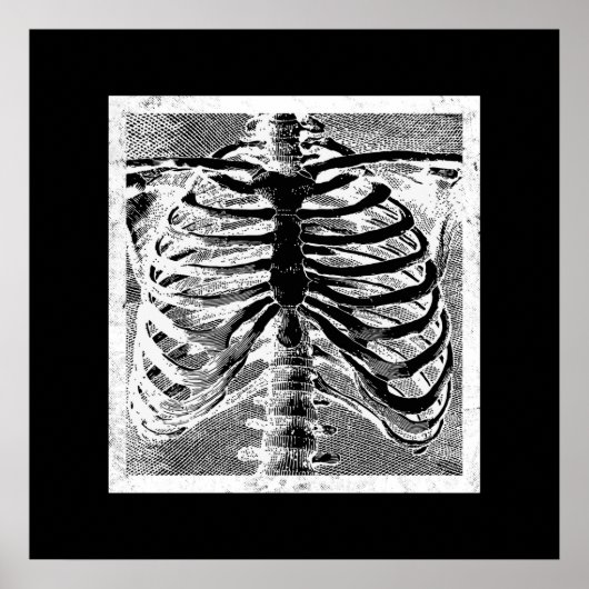 ヴィンテージスケルトンボーンズトルソ体ハロウィーン ポスター (正面)