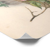 ヴィンテージスズメバチ ポスター (角)