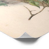 ヴィンテージスズメバチ ポスター (角)