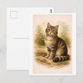 ヴィンテージスタイルのトラ猫イラスト ポストカード (正面/裏面)