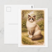 ヴィンテージスタイルのラグドール猫のイラスト ポストカード (正面/裏面)