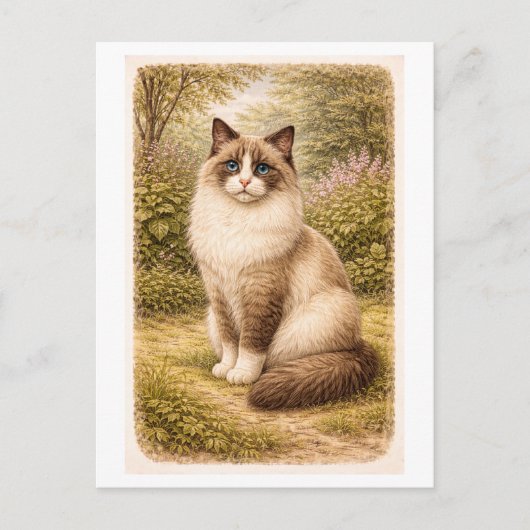 ヴィンテージスタイルのラグドール猫のイラスト ポストカード (正面)